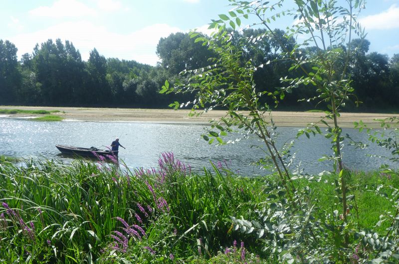 Pêcheur sur la Loire en 2010