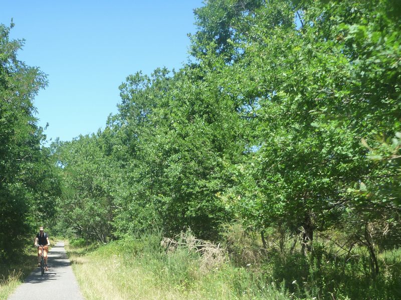 Balades à vélo en forêt des landes en 2010