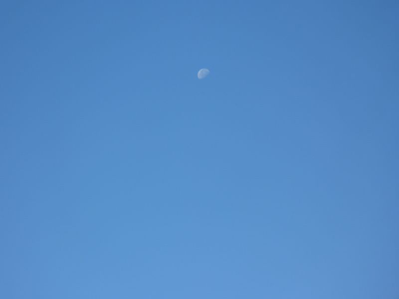 La luna di Valencia sur bleu klein