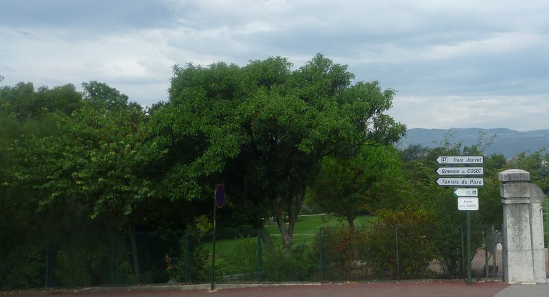 Et voicla notre Glaude reparti en arriere vers le Nord, en suivant les balises du parc Jouvet