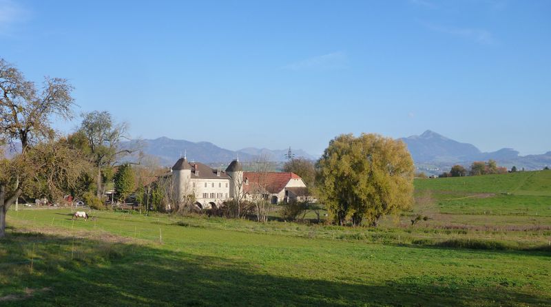Château de Vully en Faucigny dans son écrin de verdure, pourvou che sa dure..