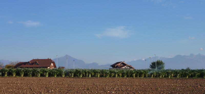 paysage du fancigny en 2011