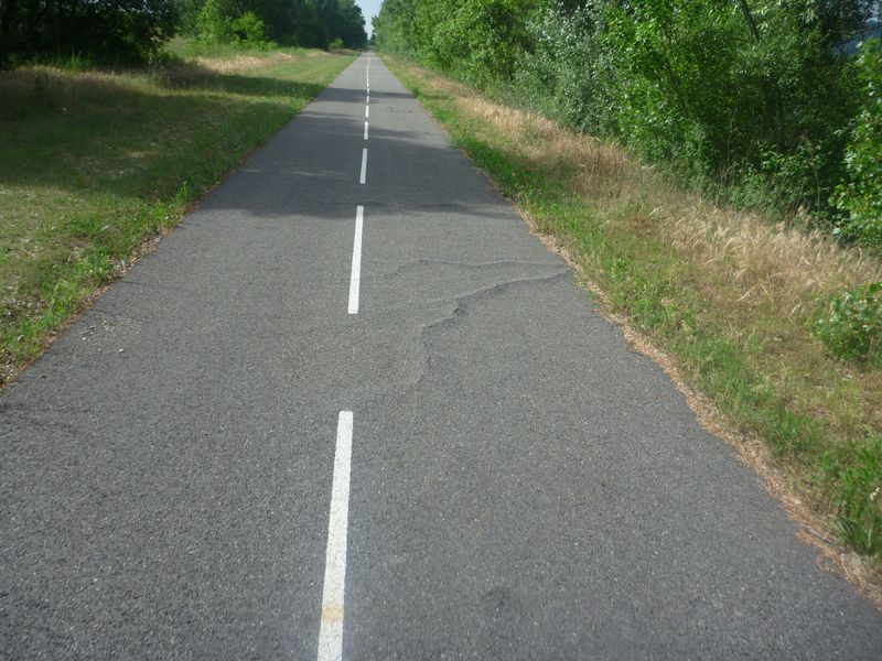 La via rhôna en 2011 à Condrieu .. après 2 ans , no comment ..