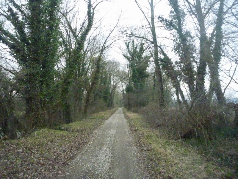 Entre Thil et Beynost en 2011 on peut rouler le long du canal sans soucis