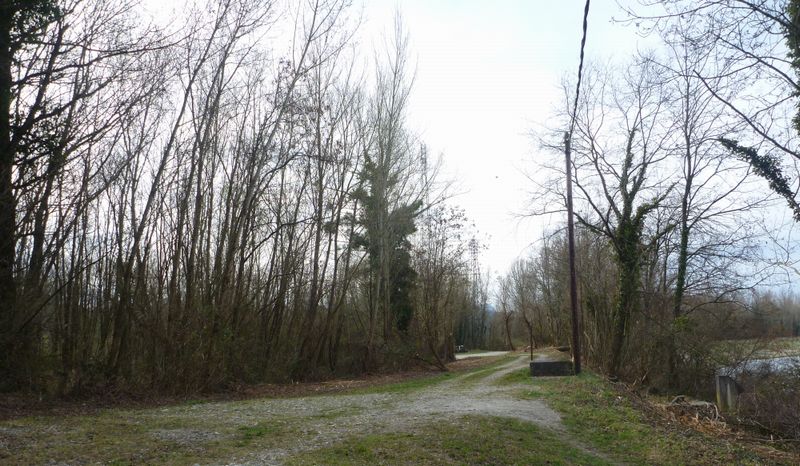Le Gr 65 le long du Rhône entre le pont de la Loi et Chanaz est quasi roulable