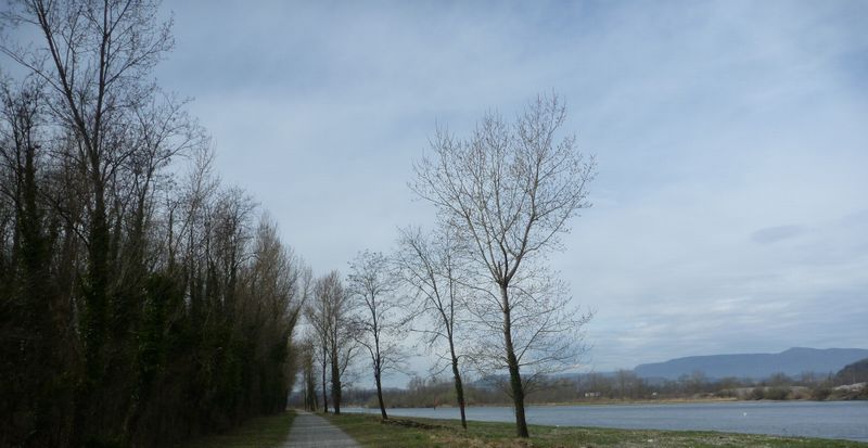 Les bords du Rhône sur le Gr 65 entre Pont de la loi et Chanaz, via Rhôna