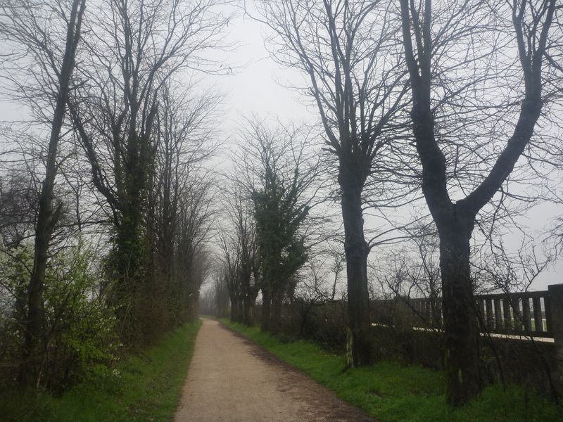 En fait de piste cyclable le sol est en stabilisé, on ne verra jamais un vélo de course sur cette via rhona en 2011