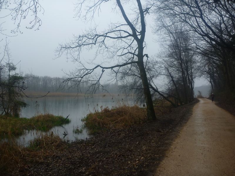 Belle ambiance au bord du Rhône entre Jons et Jonage sur la via rhona en 2011