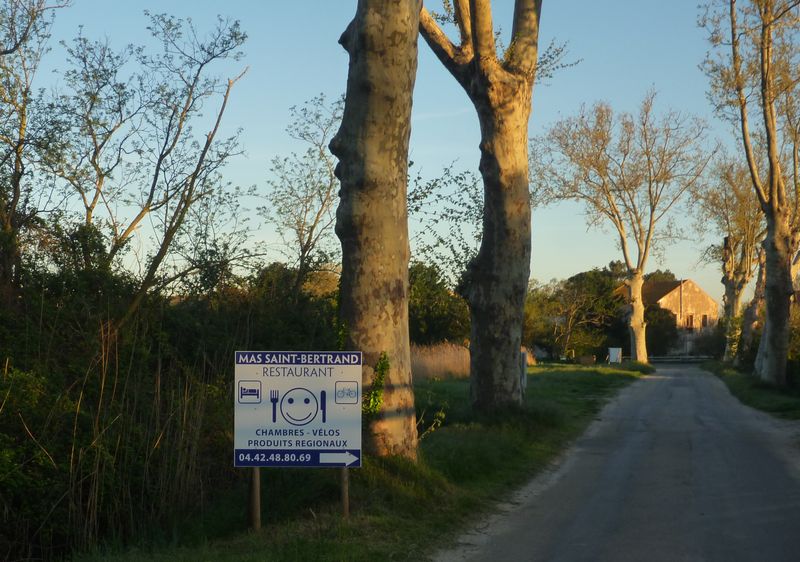 Mas saint Bertrand en 2011 en camargue