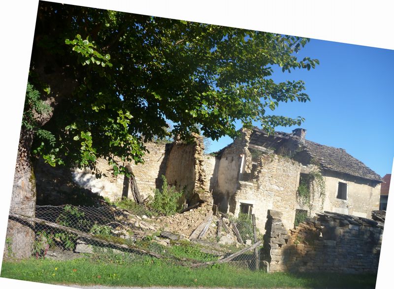 Les campagnes se vident en 2011