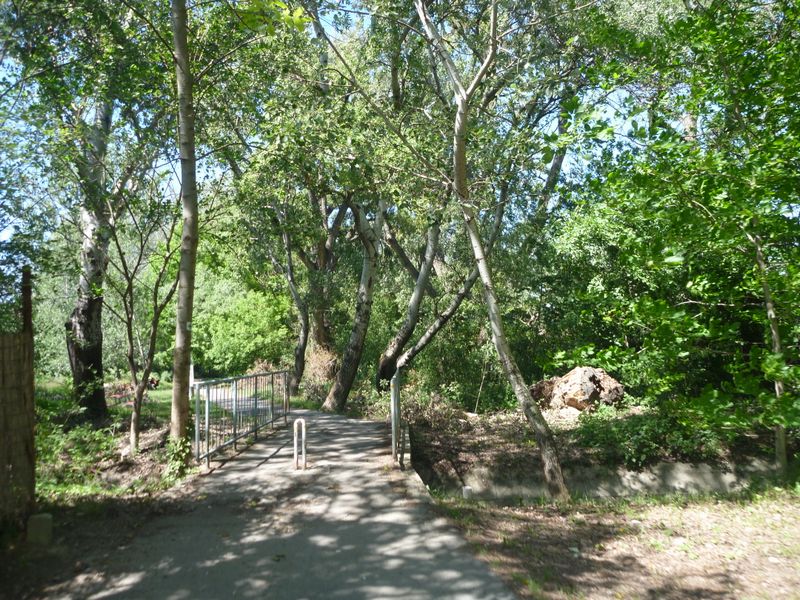 Passage en forêt sur le Donauradweg en 2012 à Budapest