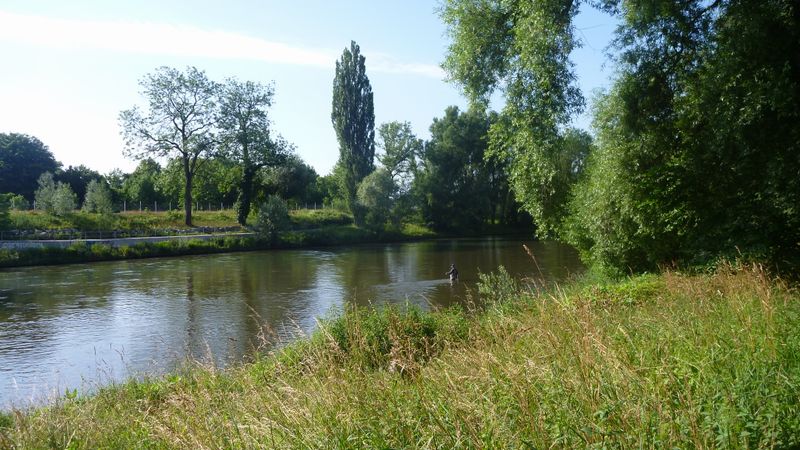 Pêche en eaux troubles sur le Danube en 2012
