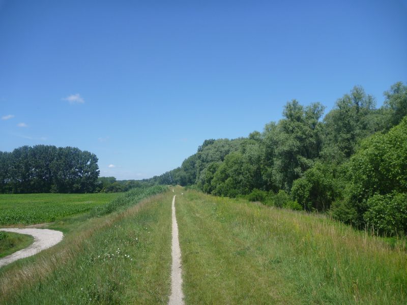 Sur la Digue du Danube du côté de Gyor en Hongrie en 2012