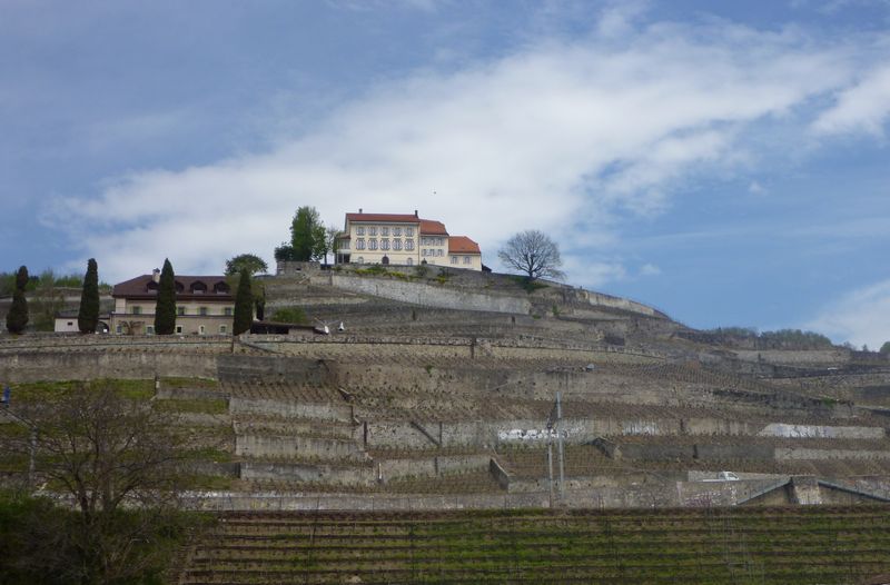 Le domaine des Faverges en Lavaux en 2012
