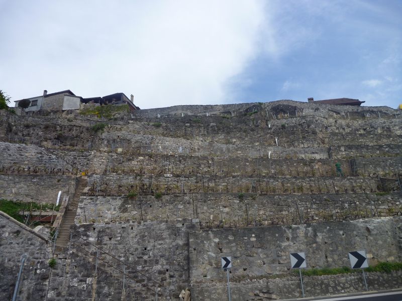 Les terrasses de Lavaux en 2012, vues de la route Suisse à Vinorama