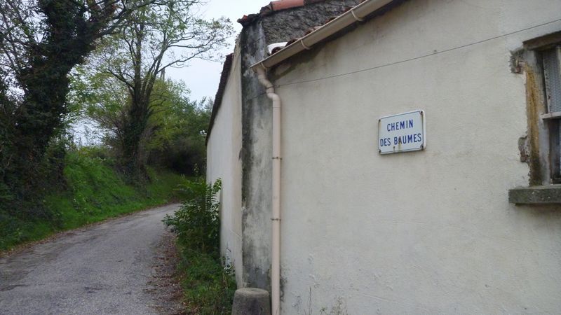 Chemin des Baumes