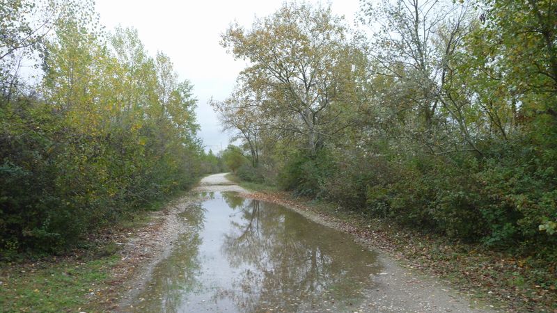 La voie verte en 2012 de la confluence du Rhône