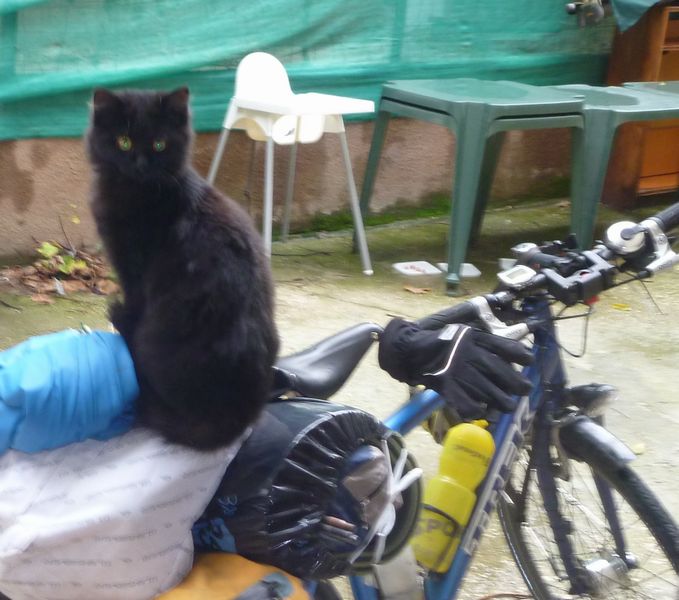 Il gatto Nero di Châteauneuf sur Isère en 2012