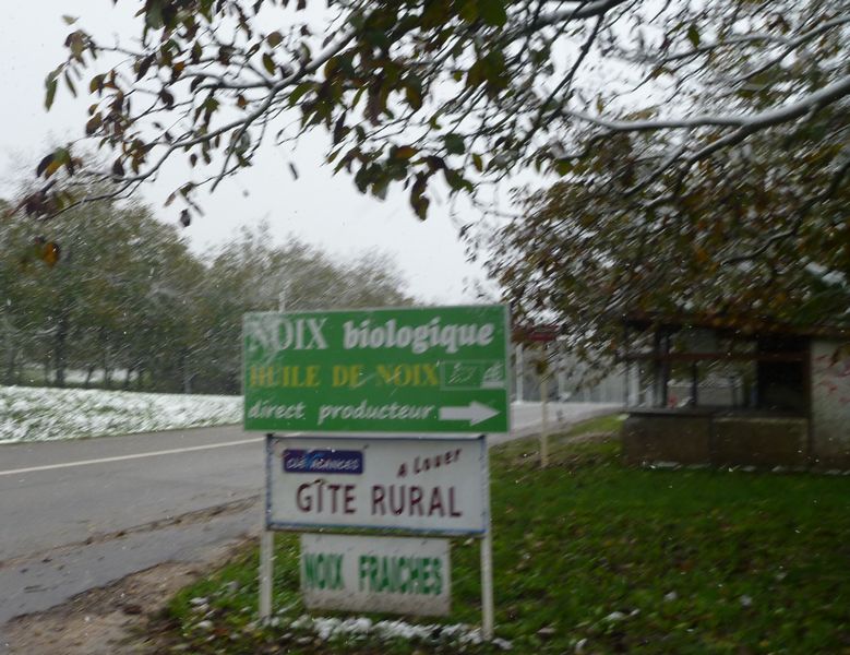 Noix Biologique
