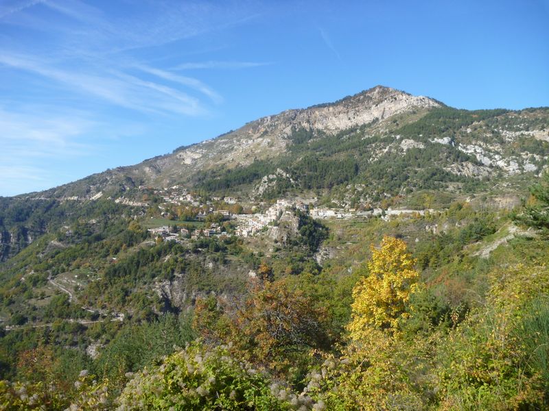 Ascroc en 2012
