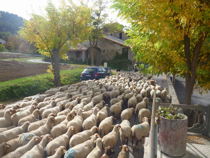 La démontagna à La Chaffaut en 2012