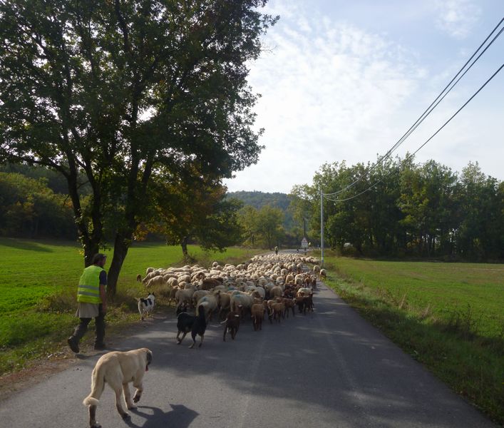 La Démontagna en 2012 sur la route des Chaffaut