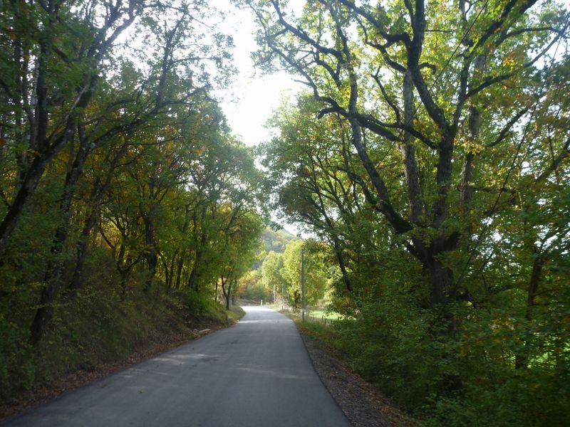 La D8, jolie petite route tranquille entre le chaffaut et Mallijal en 2012