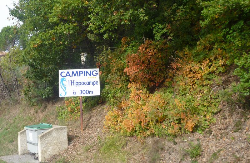camping l'Hippocampe