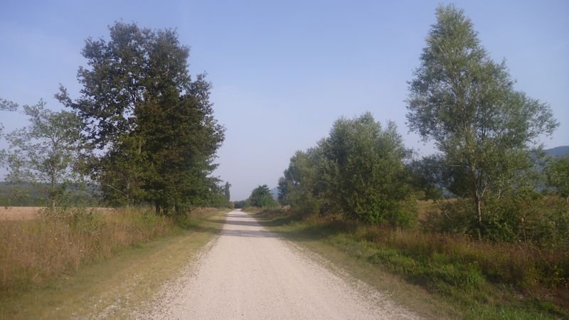 La via Rhôna est en gestation sur le halage du Rhône entre Montalieu et saut Brenaz en 2012