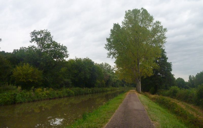 Le halage du canal du Nivernais en 2012