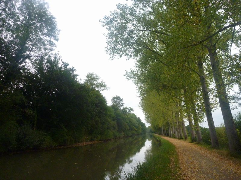 L'automne pointe déjà en ce mois d'aout 2012 le long du nivernais