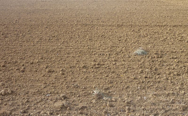 La terre déjà prête pour les semailles en cet aout 2012 en Loiret
