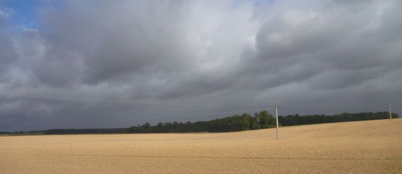 Paysage du Loiret en 2012 ..