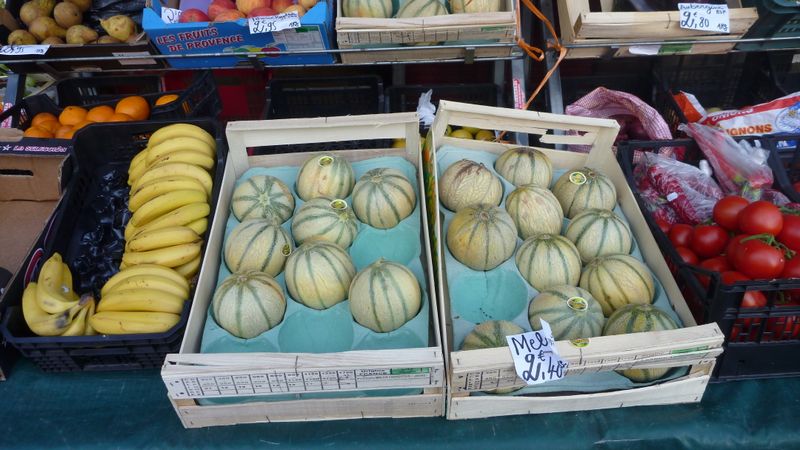 Les melons de melun en 2012