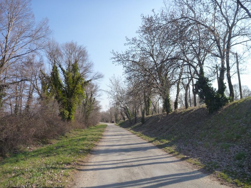On the road again en 2012 entre Soyons et Charmes sur rhône