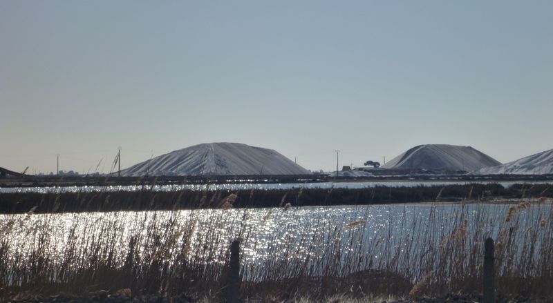 Les salines d'Aigues mortes en 2012