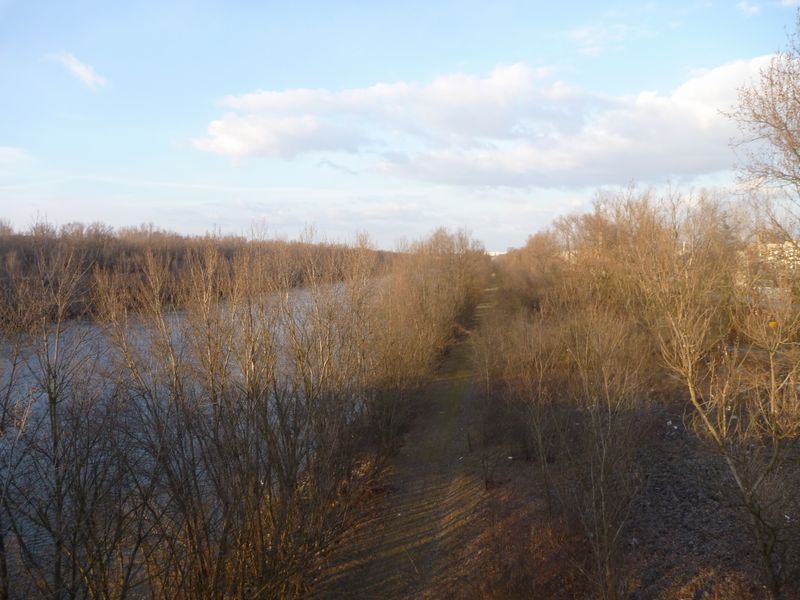 Le chemin de halage courant le long du canal du rhône entre sud de Lyon et Givors / future Viarhôna ?