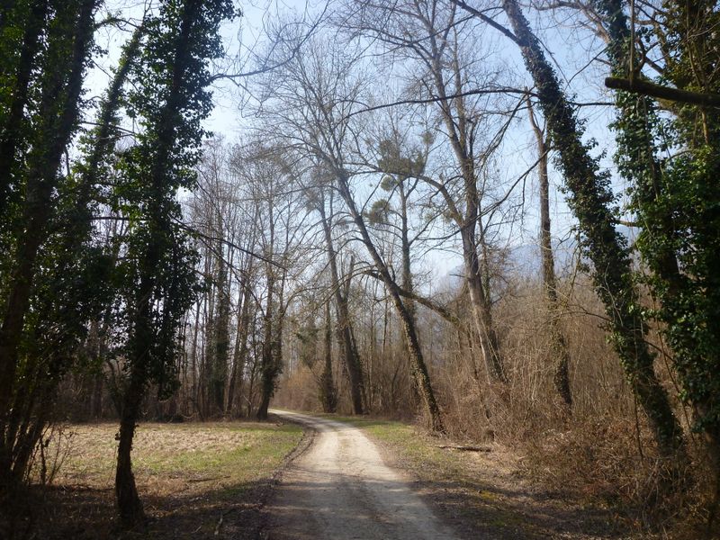 Le chemin longeant le rhône dit Gr65 en chautagne est praticable à VTC
