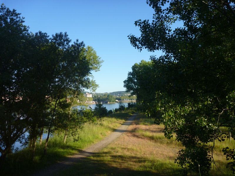 Halage au bord du rhône à Chasse sur Rhône en 2013