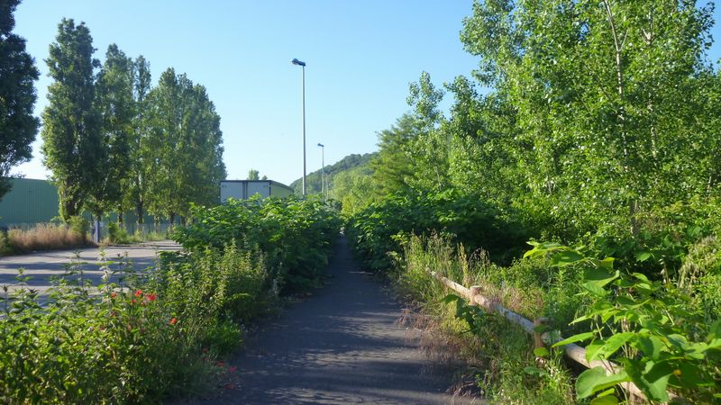 Viarhôna à Loire sur Rhône en 2013 : VERT de râge ..