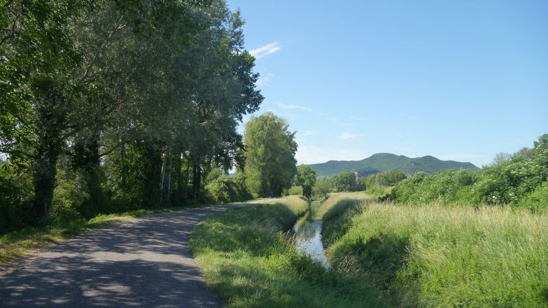 Petite route vers le sud après le Pouzin, côté Drôme ici
