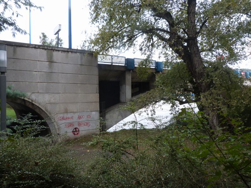 Le pont Pasteur sur le Rhône à Lyon en 2013