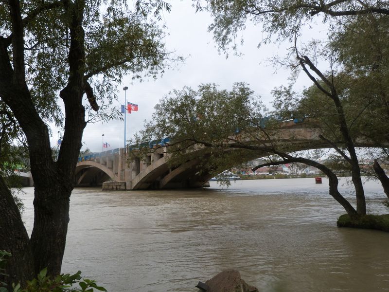 Le pont Pasteur enjambe le Rhône au sud de Lyon en novembre 2013