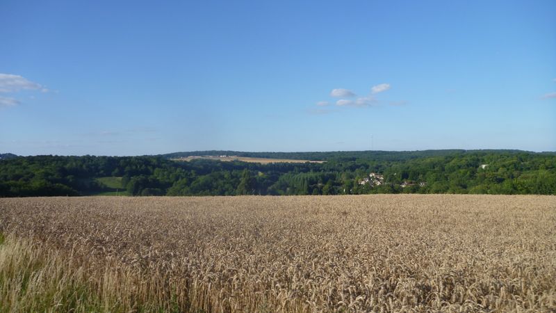 Photo-longer-seine-007