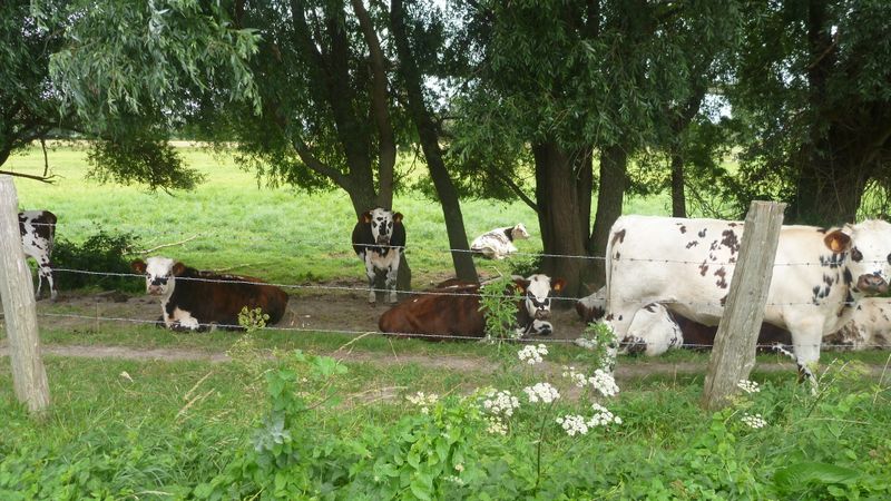 Photo-longer-seine-010
