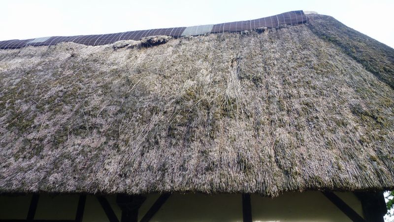 Détail toit de chaume normand en 2013