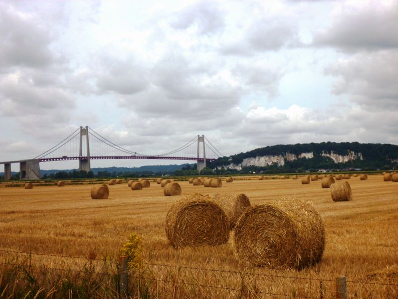 Les meules de foins devant le pont de Tancarville en 2013