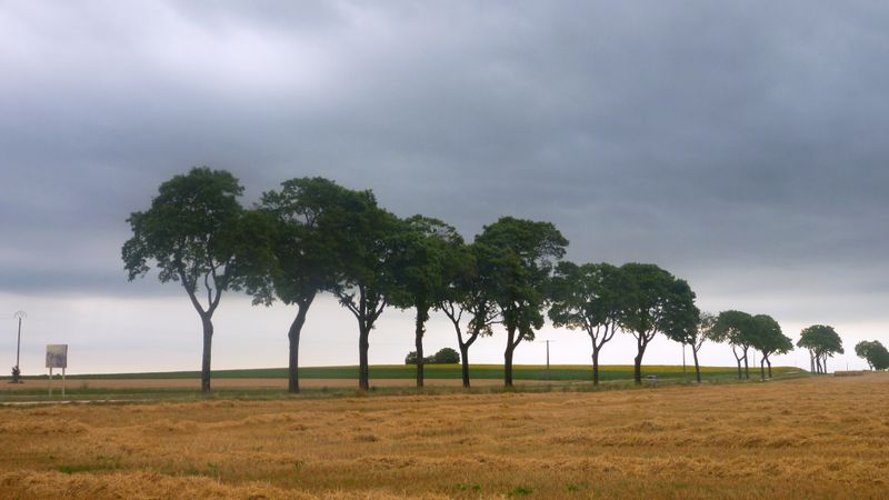 Sur le plateau de Langres