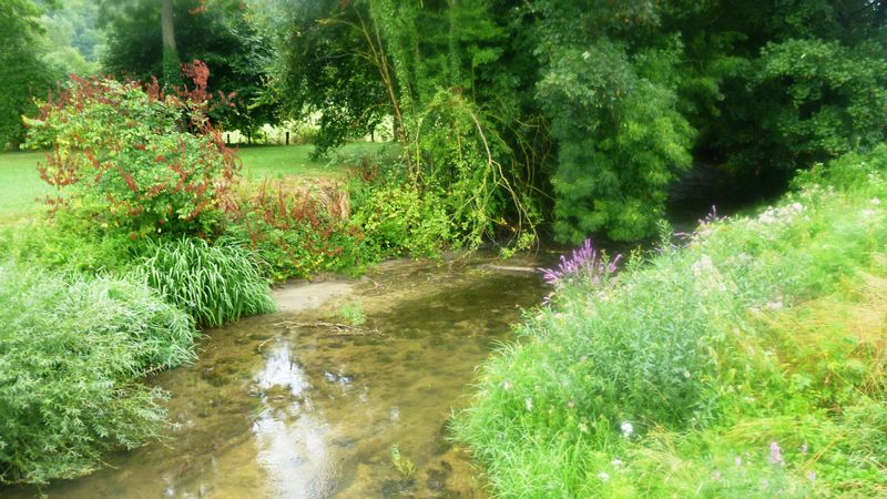 La Seine quelques kilomètres après la source