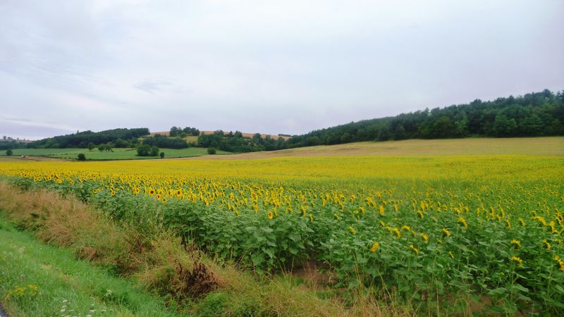 Sur le plateau de Langres ,châtillonnais